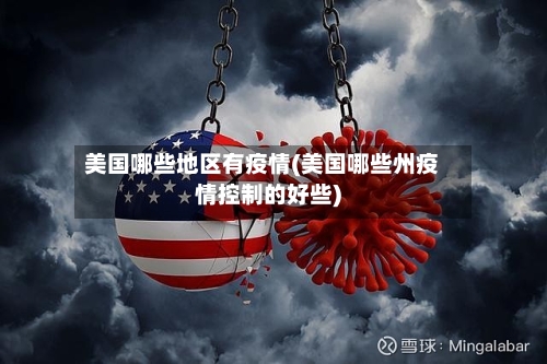美国哪些地区有疫情(美国哪些州疫情控制的好些)