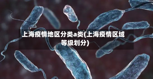 上海疫情地区分类a类(上海疫情区域等级划分)