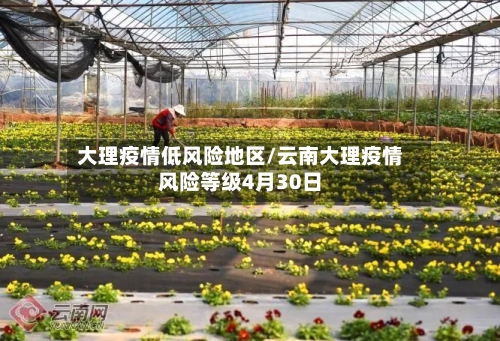 大理疫情低风险地区/云南大理疫情风险等级4月30日