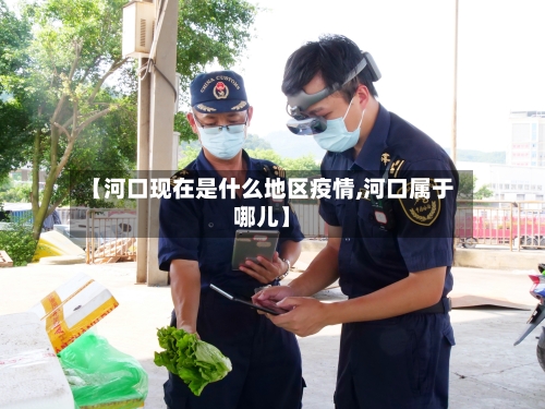 【河口现在是什么地区疫情,河口属于哪儿】