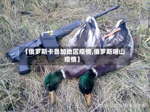 【俄罗斯卡鲁加地区疫情,俄罗斯喀山疫情】