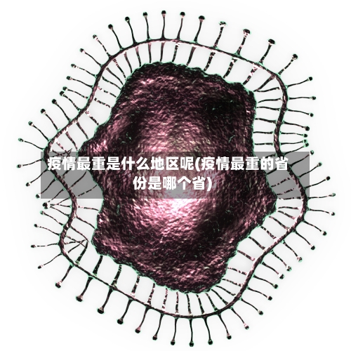 疫情最重是什么地区呢(疫情最重的省份是哪个省)