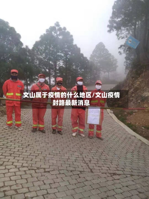文山属于疫情的什么地区/文山疫情封路最新消息