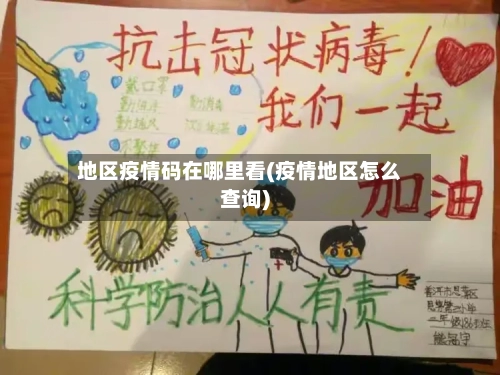 地区疫情码在哪里看(疫情地区怎么查询)