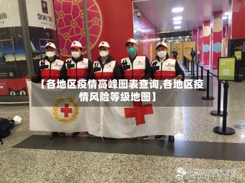 【各地区疫情高峰图表查询,各地区疫情风险等级地图】