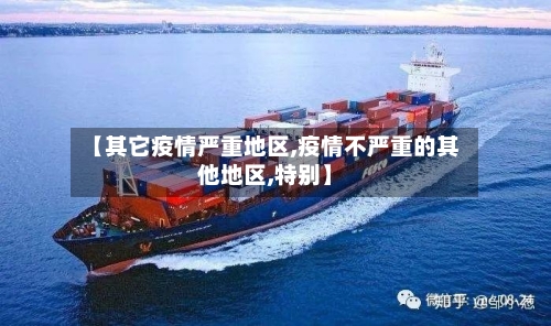 【其它疫情严重地区,疫情不严重的其他地区,特别】