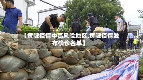 【黄陂疫情中高风险地区,黄陂疫情发布确诊名单】