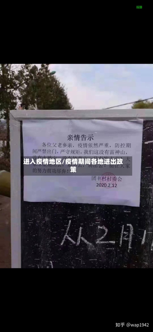 进入疫情地区/疫情期间各地进出政策