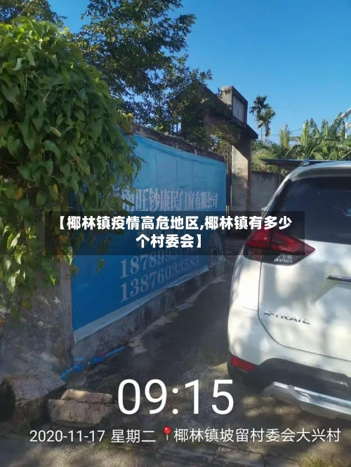 【椰林镇疫情高危地区,椰林镇有多少个村委会】