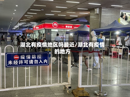 湖北有疫情地区吗最近/湖北有疫情的地方