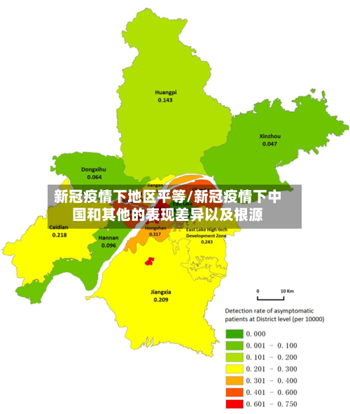新冠疫情下地区平等/新冠疫情下中国和其他的表现差异以及根源