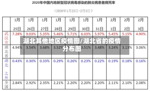 湖北其他地区疫情图/湖北省的疫情分布图