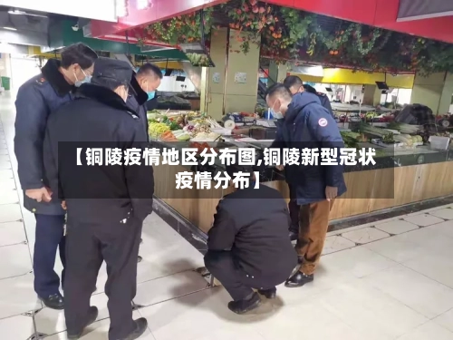 【铜陵疫情地区分布图,铜陵新型冠状疫情分布】