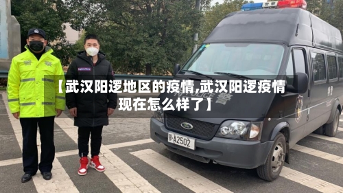 【武汉阳逻地区的疫情,武汉阳逻疫情现在怎么样了】