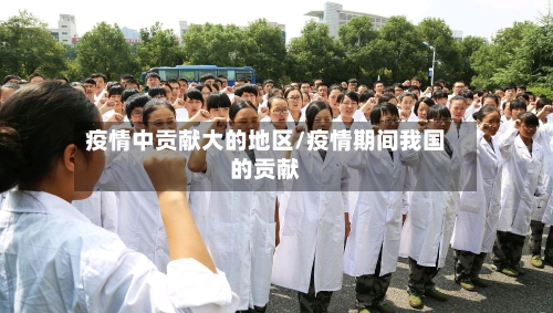 疫情中贡献大的地区/疫情期间我国的贡献