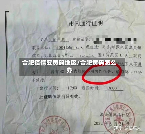 合肥疫情变黄码地区/合肥黄码怎么办-第1张图片