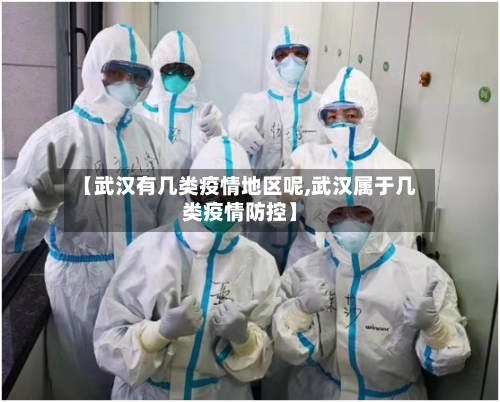 【武汉有几类疫情地区呢,武汉属于几类疫情防控】