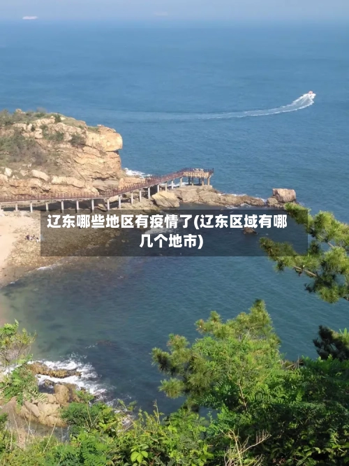 辽东哪些地区有疫情了(辽东区域有哪几个地市)