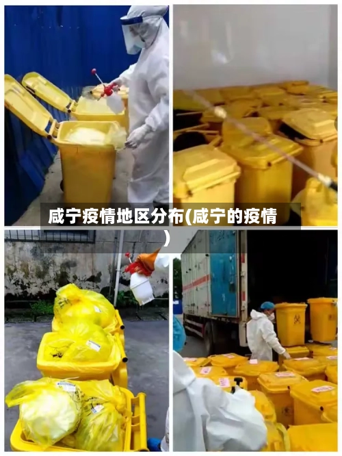咸宁疫情地区分布(咸宁的疫情)