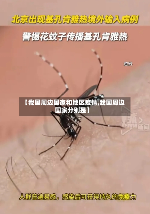 【我国周边国家和地区疫情,我国周边国家分别是】