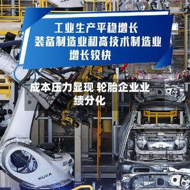 成本压力显现 轮胎企业业绩分化