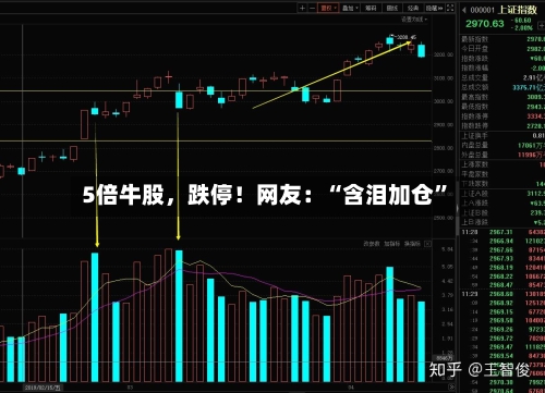 5倍牛股，跌停！网友：“含泪加仓”