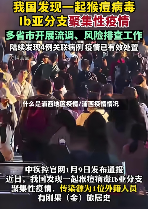 什么是浦西地区疫情/浦西疫情情况