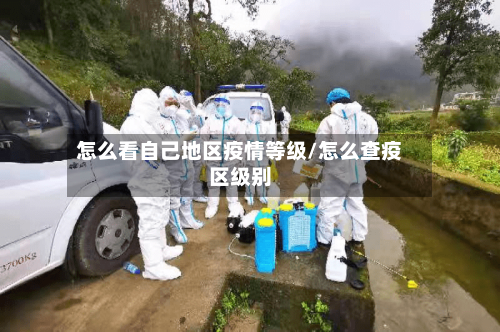 怎么看自己地区疫情等级/怎么查疫区级别