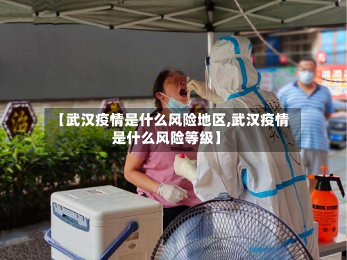 【武汉疫情是什么风险地区,武汉疫情是什么风险等级】