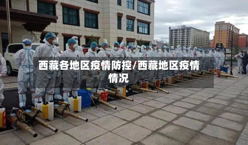 西藏各地区疫情防控/西藏地区疫情情况