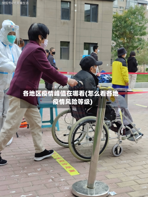 各地区疫情峰值在哪看(怎么看各地疫情风险等级)-第1张图片