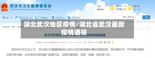 湖北武汉地区疫情/湖北省武汉最新疫情通报-第1张图片