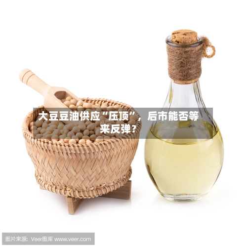 大豆豆油供应“压顶”,后市能否等来反弹?