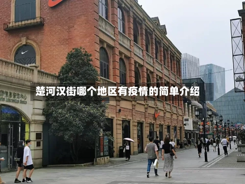 楚河汉街哪个地区有疫情的简单介绍