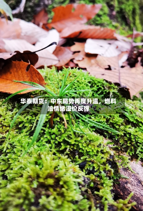 华泰期货:中东局势再度升温,燃料油情绪溢价反弹