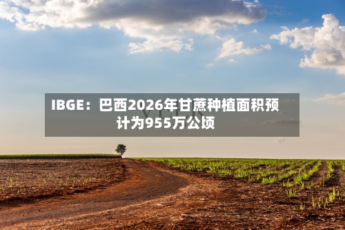 IBGE：巴西2026年甘蔗种植面积预计为955万公顷
