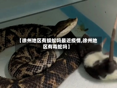 【徐州地区有蜈蚣吗最近疫情,徐州地区有毒蛇吗】