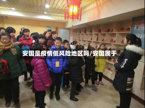 安国是疫情低风险地区吗/安国属于