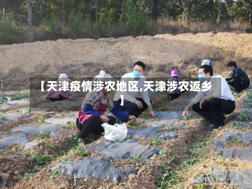 【天津疫情涉农地区,天津涉农返乡】
