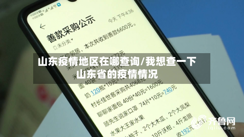 山东疫情地区在哪查询/我想查一下山东省的疫情情况