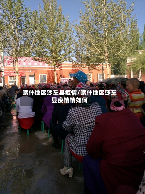 喀什地区沙车县疫情/喀什地区莎车县疫情情如何