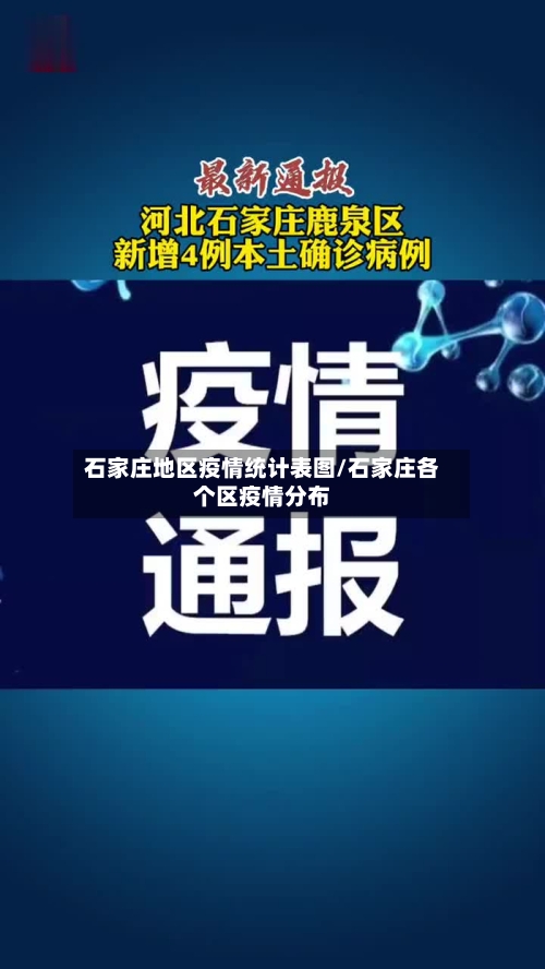 石家庄地区疫情统计表图/石家庄各个区疫情分布