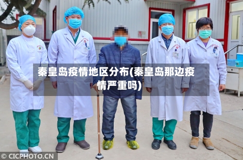 秦皇岛疫情地区分布(秦皇岛那边疫情严重吗)