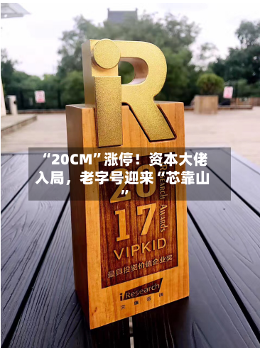 “20CM”涨停!资本大佬入局,老字号迎来“芯靠山”