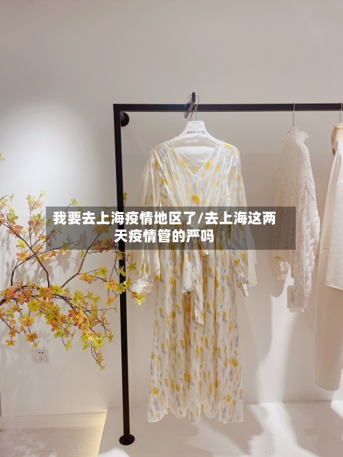 我要去上海疫情地区了/去上海这两天疫情管的严吗