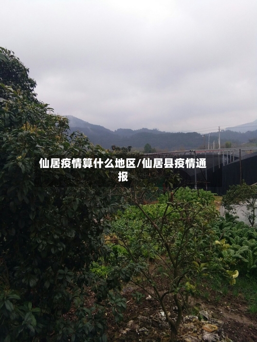 仙居疫情算什么地区/仙居县疫情通报
