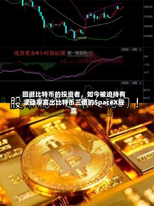 回避比特币的投资者,如今被迫持有波动率高出比特币三倍的SpaceX股票