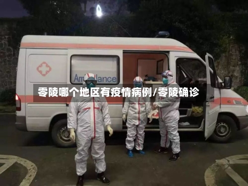 零陵哪个地区有疫情病例/零陵确诊