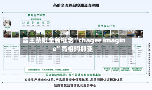 霸王茶姬全新概念“chagee imagine”亮相阿那亚