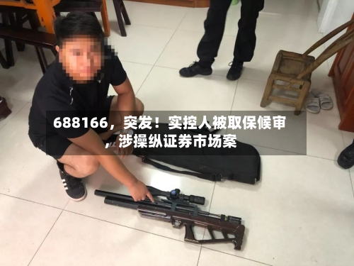 688166,突发!实控人被取保候审,涉操纵证券市场案